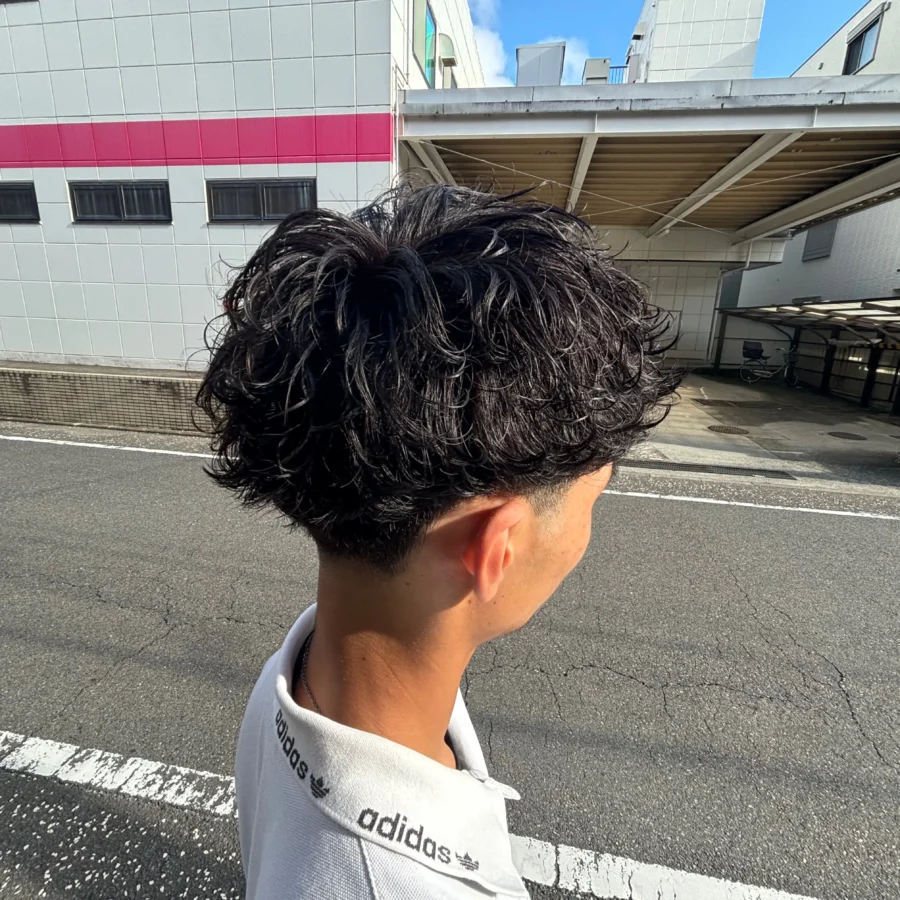 スタイルH